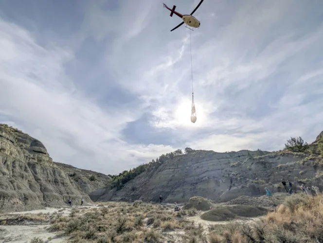 Fossilized T. rex footprints airlifted from grasslands